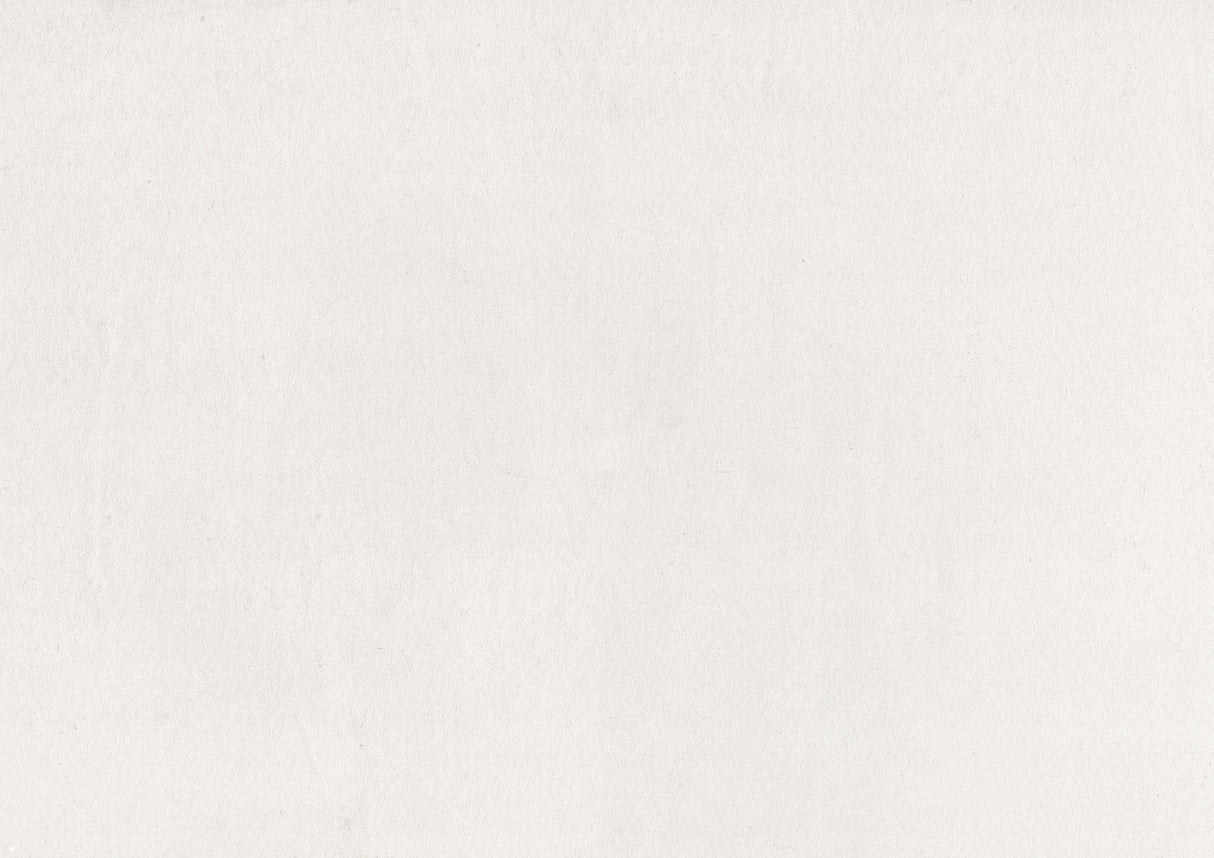 1203 Togo Beige Accent Chair by Homelegance at Eve Furniture