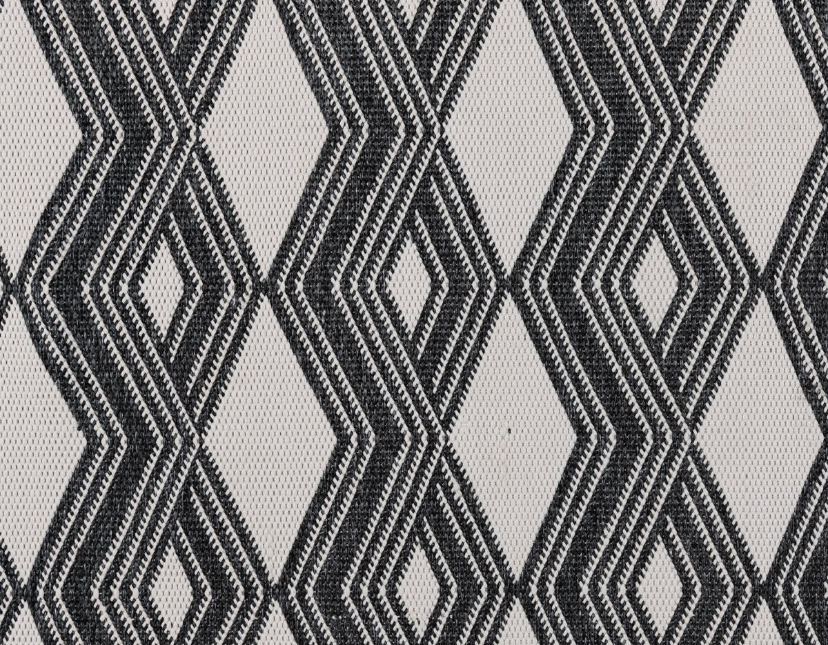 Indoor/Outdoor Banning Rug