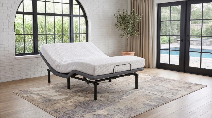 Tasca Black Queen Dual-Motor Adjustable Bed Base by Coaster at Eve Furniture