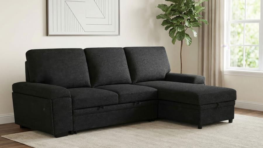 Demko Black Sleeper Sectional Sofa with Speaker and Storage Chaise by Coaster at Eve Furniture