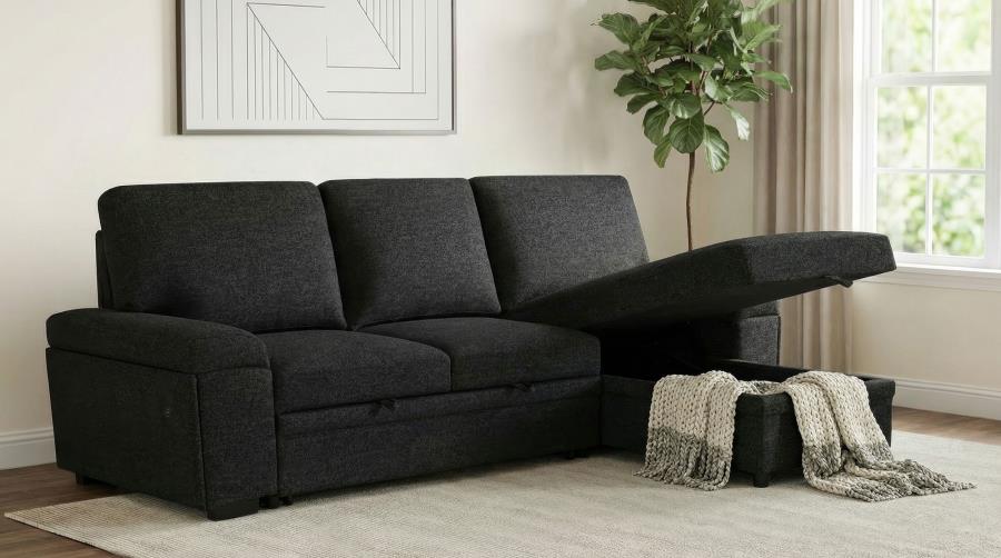 Demko Black Sleeper Sectional Sofa with Speaker and Storage Chaise by Coaster at Eve Furniture