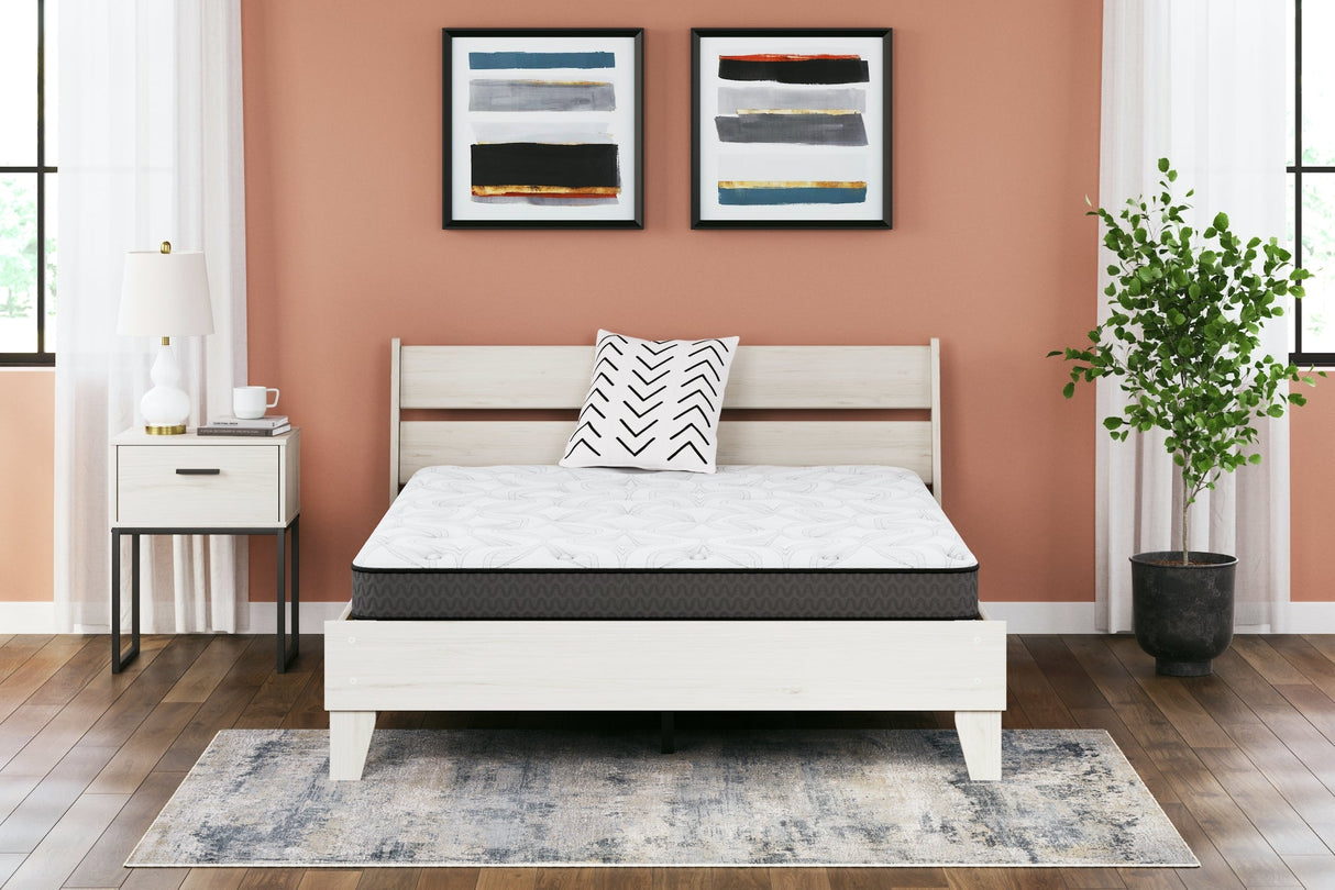 8 Inch Bonnell Hybrid White California King Mattress by ASHLEY FURNITURE at Eve Furniture