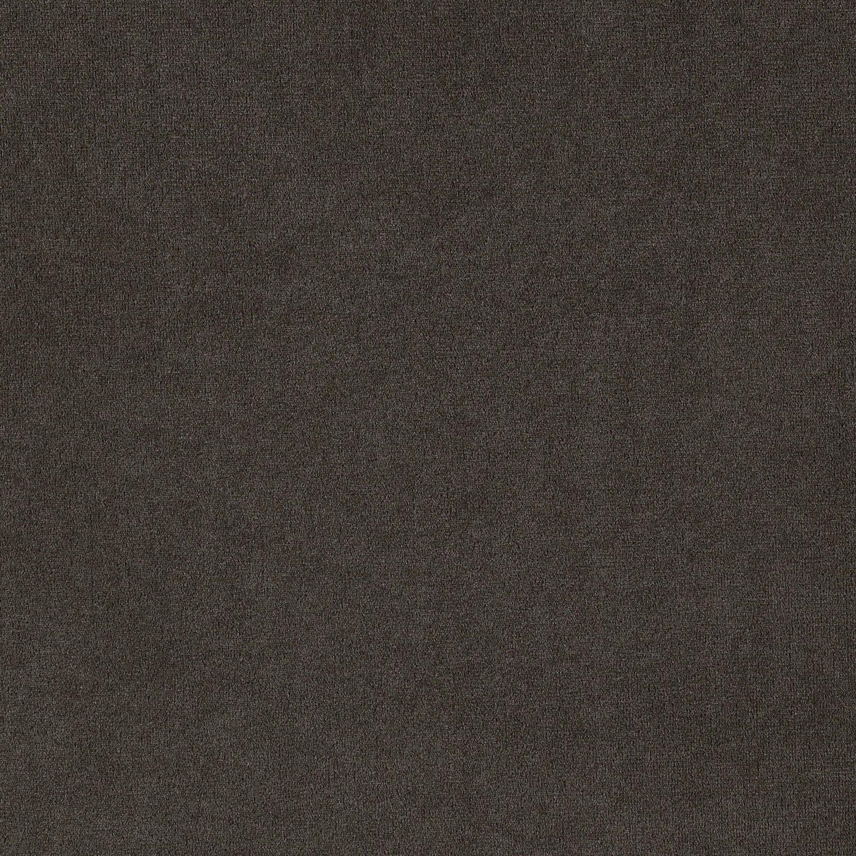 Alana Upholstered Tufted Side Chairs with Nailhead Trim, Set of 2 by Coaster at Eve Furniture