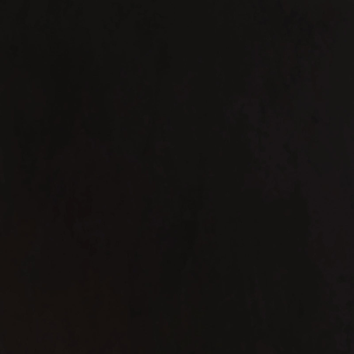 Alana Upholstered Tufted Side Chairs with Nailhead Trim, Set of 2 by Coaster at Eve Furniture