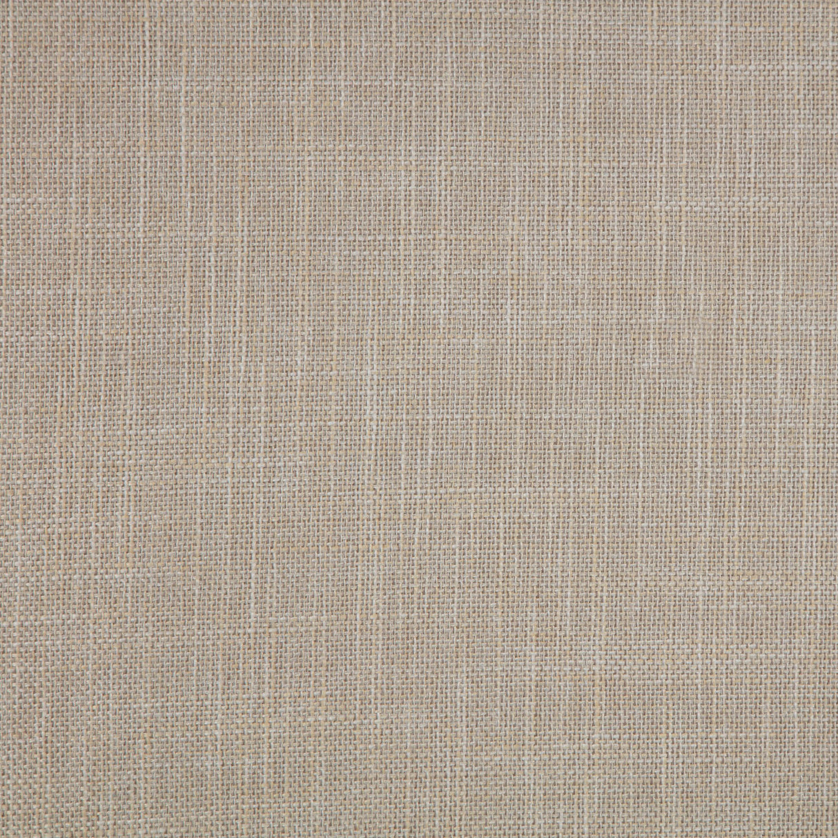 Bexhill White 56-inch Upholstered Eastern King Panel Bed by Coaster at Eve Furniture