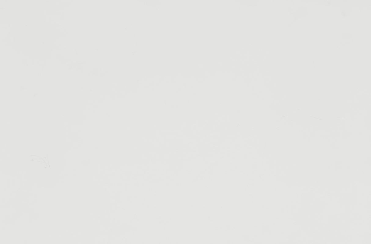 Blaire Farm White Queen Panel Bed by Homelegance at Eve Furniture