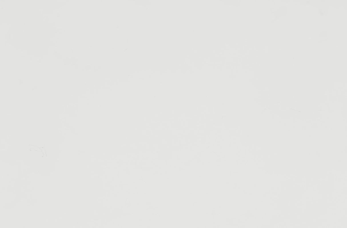 Blaire Farm White Queen Panel Bed by Homelegance at Eve Furniture