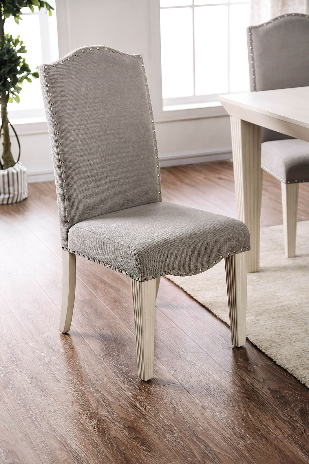Daniella Antique White/Gray Side Chair by Furniture of America at Eve Furniture