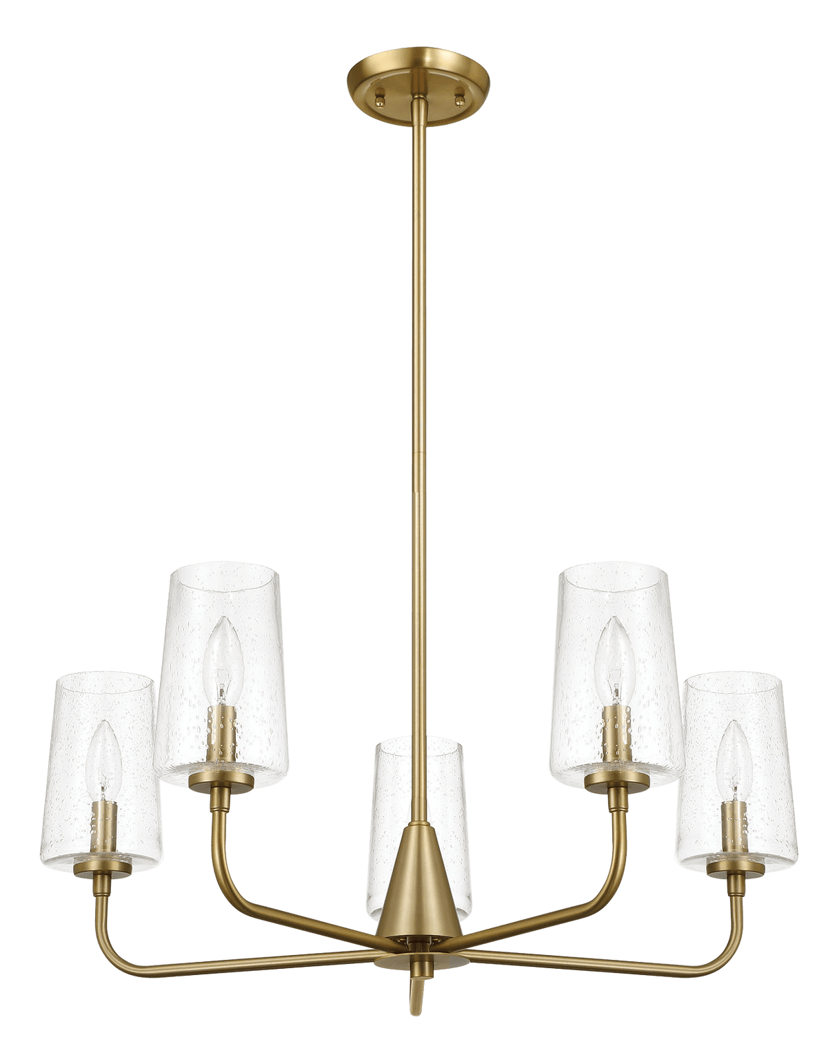 Dazzle Five Lights Chandelier With Clear Seeded Glass -Satin Brass by Ashcroft Imports at Eve Furniture