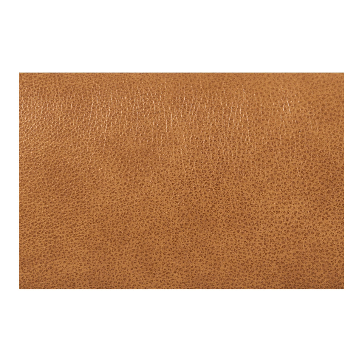 Devlin Tan Leather Lounge Chair by Moe's Home at Eve Furniture