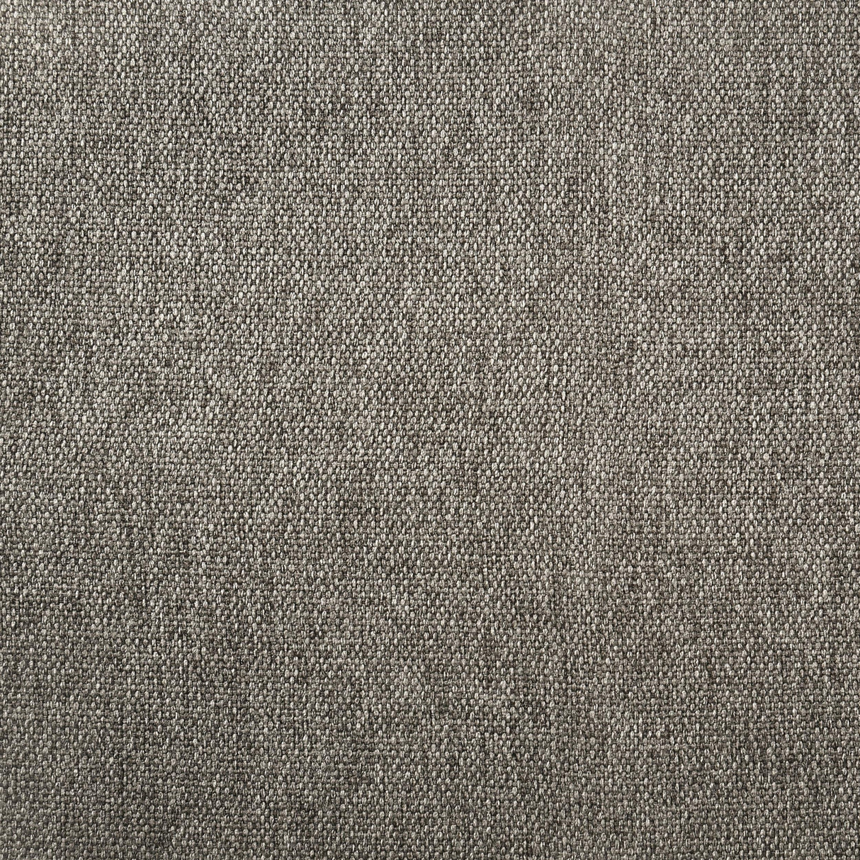 Dorian Taupe Upholstered Eastern King Panel Bed by Coaster at Eve Furniture