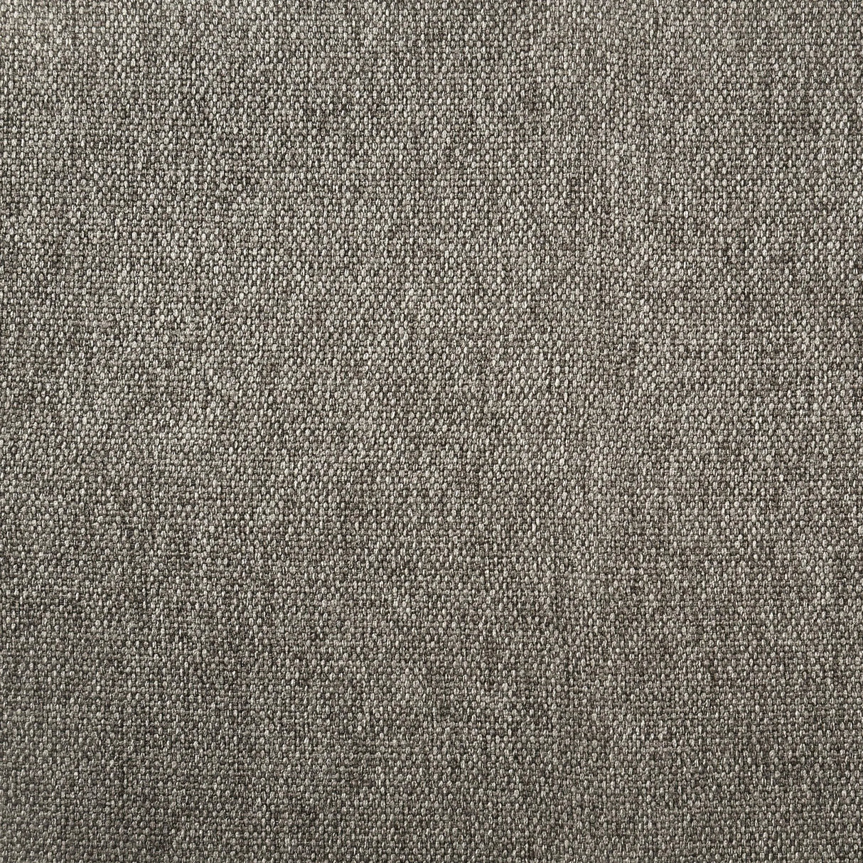 Dorian Taupe Upholstered Eastern King Panel Bed by Coaster at Eve Furniture