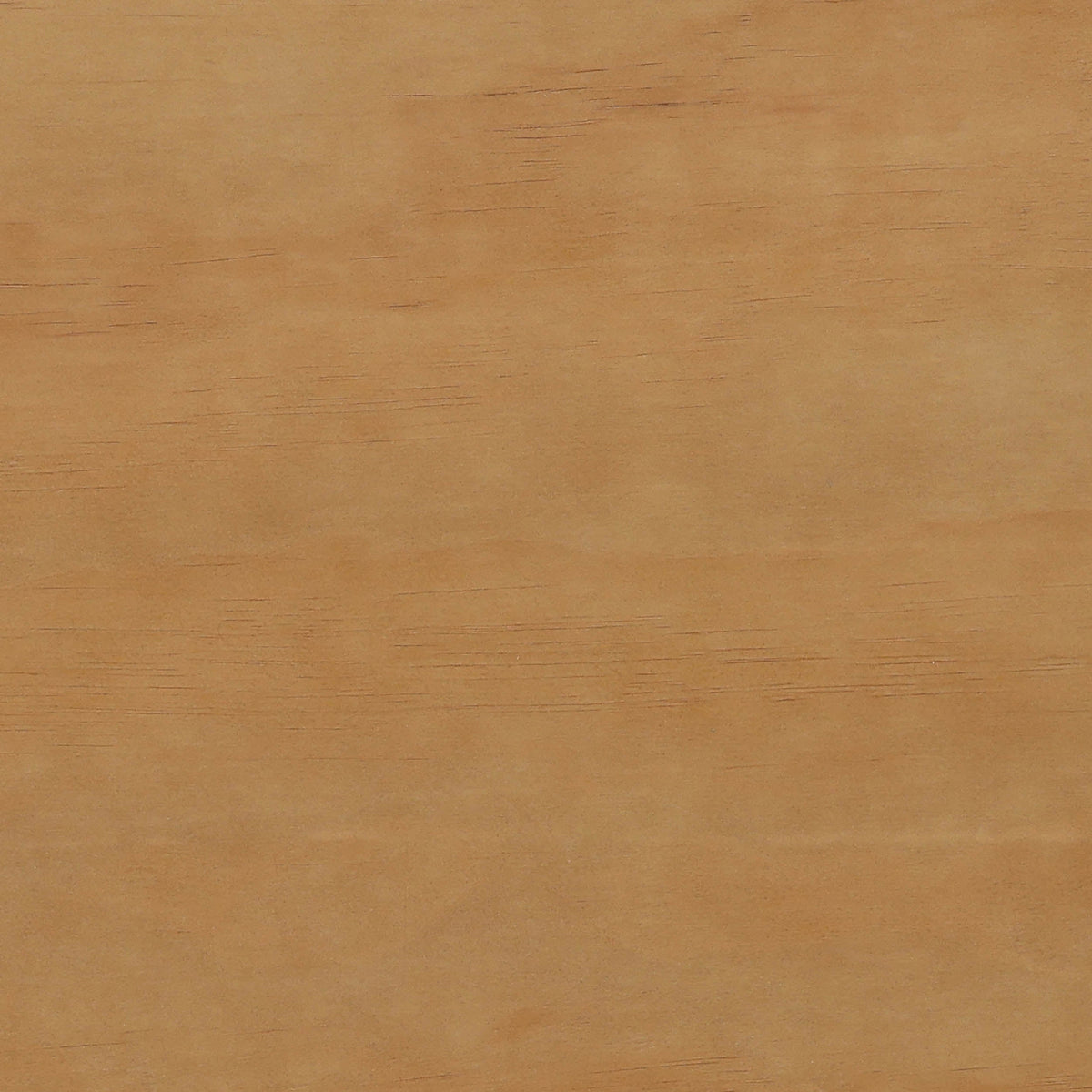 Elara Sideboard, Natural by Dovetail at Eve Furniture