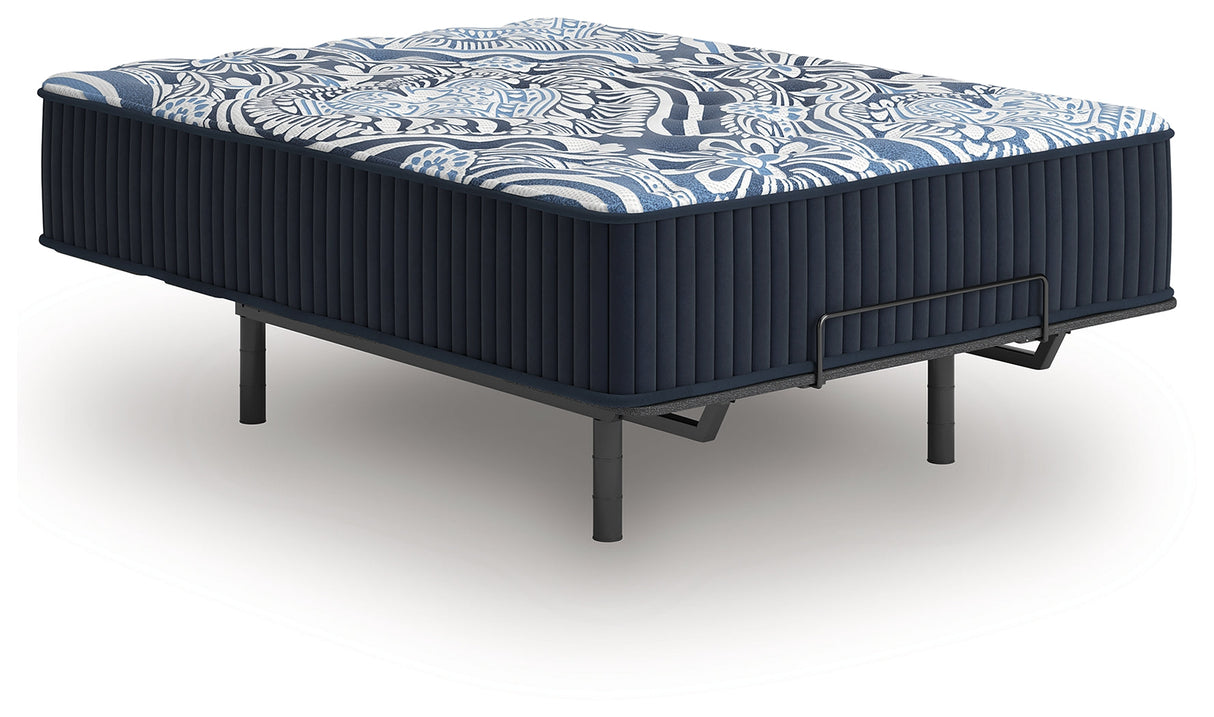 Firm Luxe 2.0 Blue Queen Mattress by Ashley at Eve Furniture