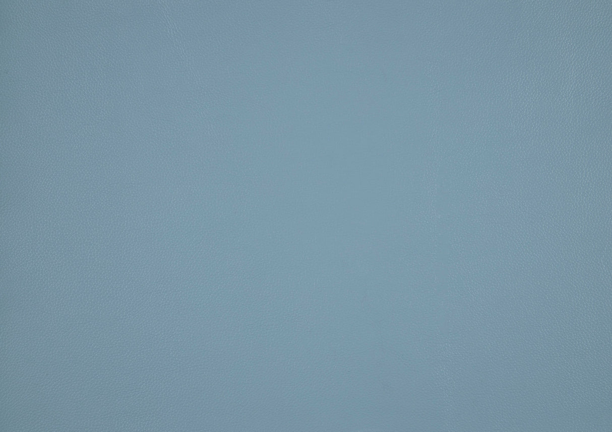 Giselle Blue Leather 2-Piece Sectional with Left Chaise by Homelegance at Eve Furniture