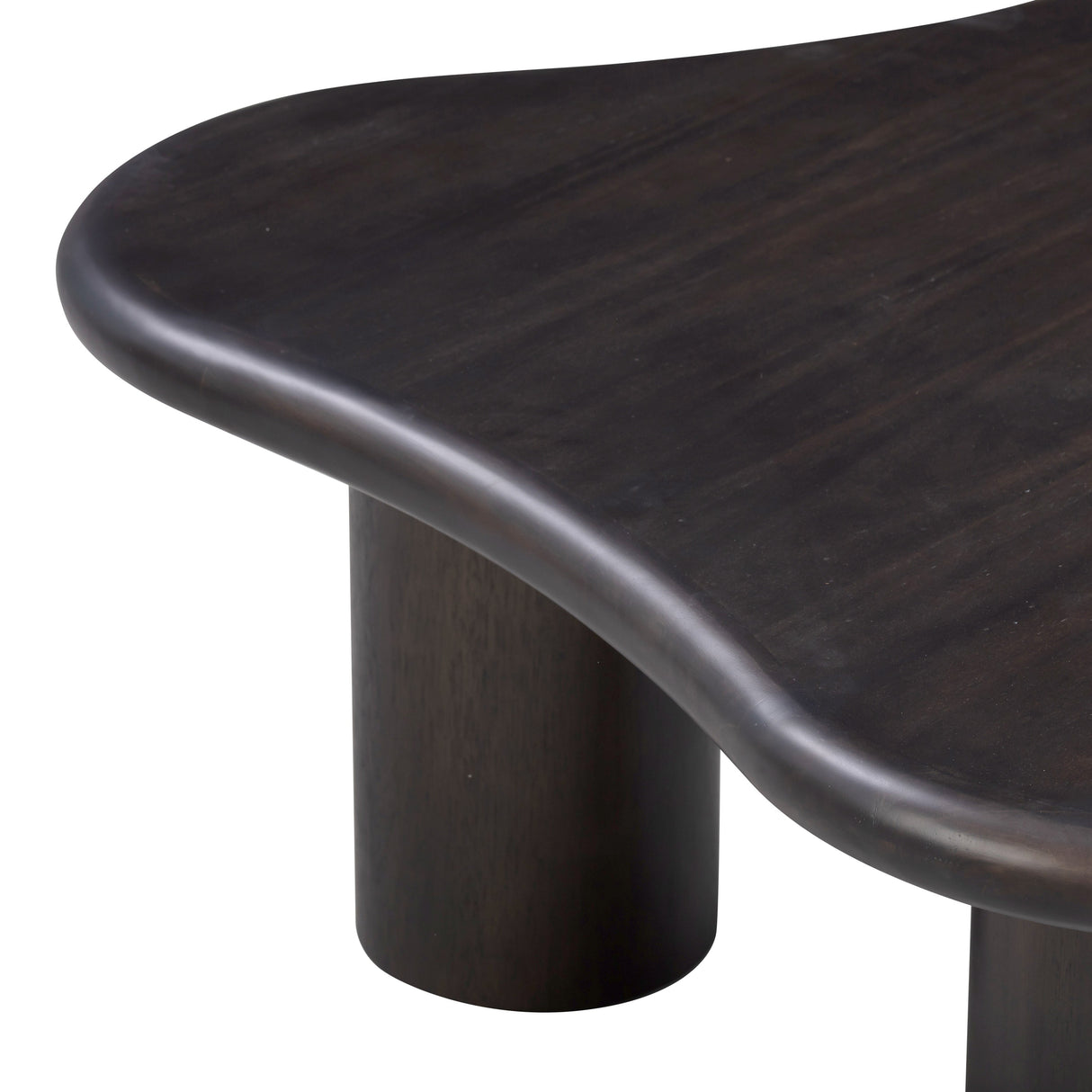 Gotham Acacia Coffee Table by TOV Furniture at Eve Furniture