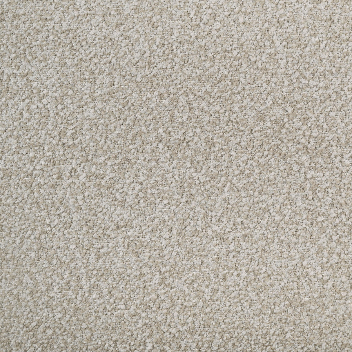 Gran Park Dark Cocoa Queen Panel Bed by Coaster at Eve Furniture