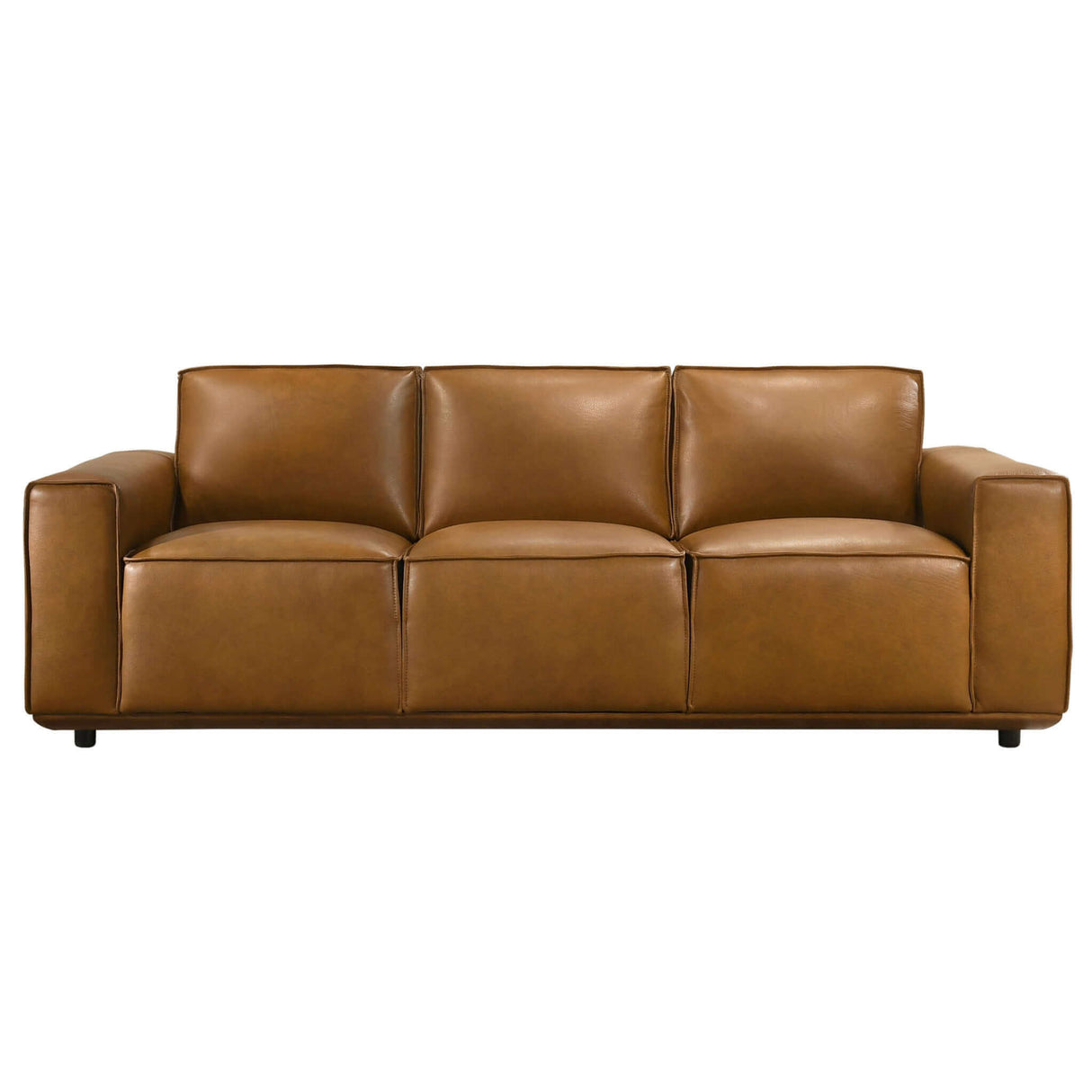 Hanky Geniune Tan Leather Sofa by Ashcroft Imports at Eve Furniture