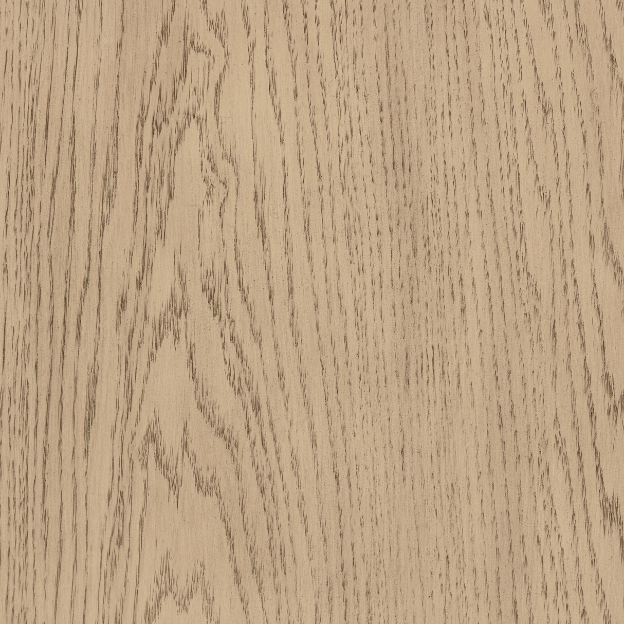 Kailani Beige Oak Dresser Mirror by Coaster at Eve Furniture