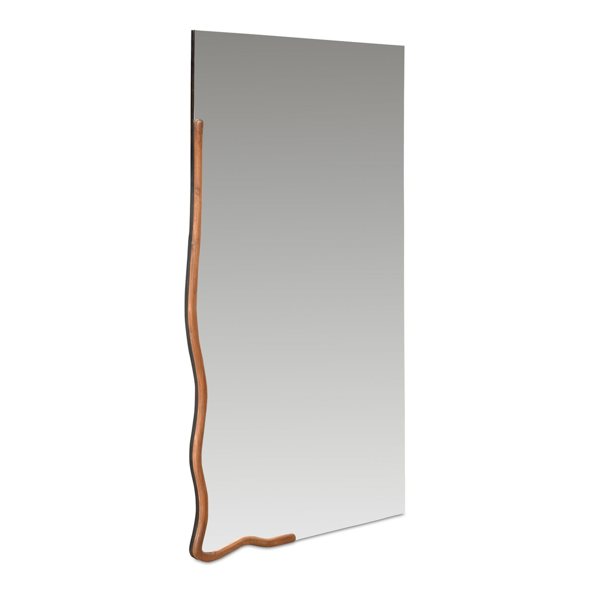 Leni Brown Large Mirror by Moe's Home at Eve Furniture