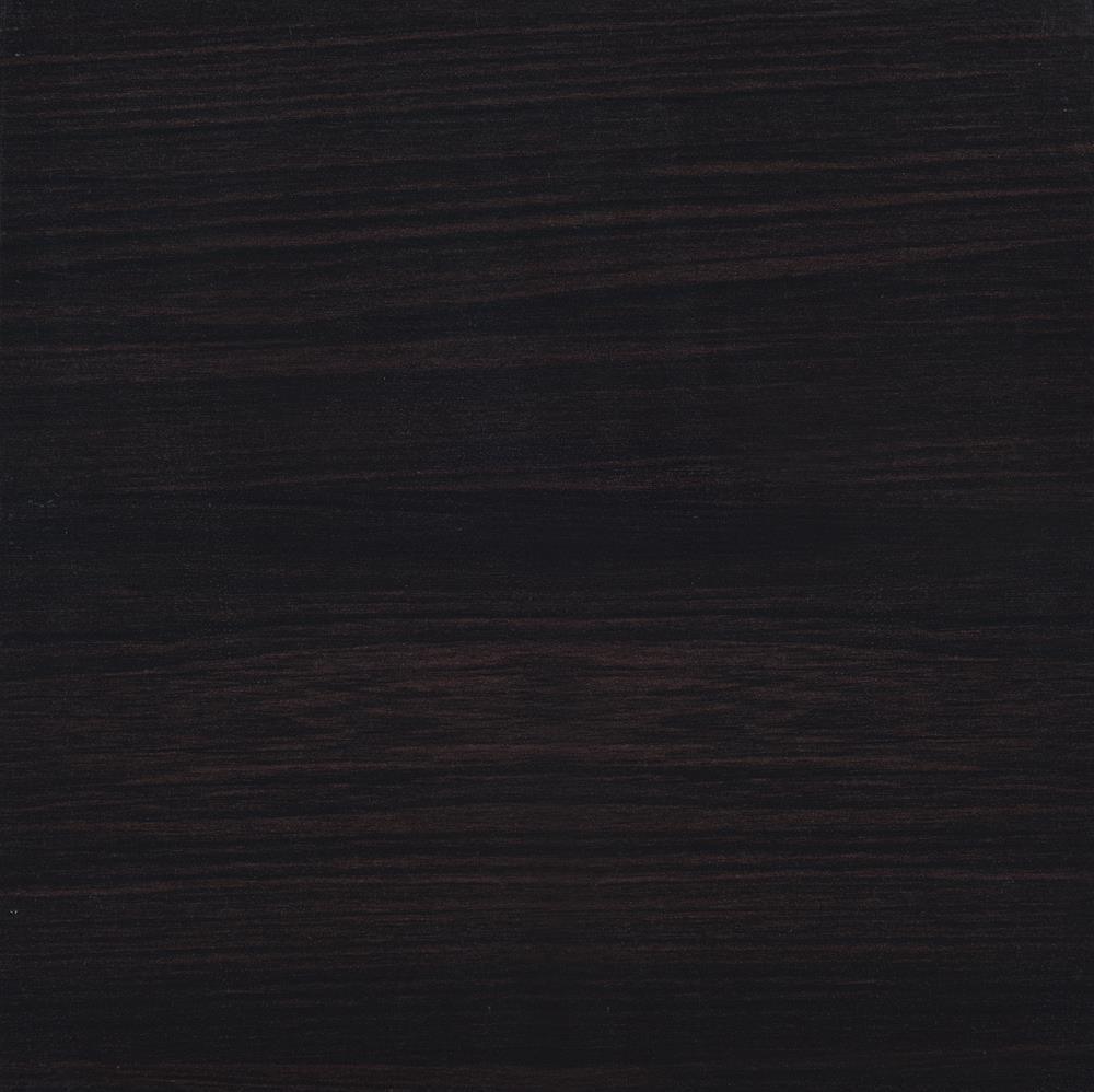 Lewes Cappuccino 2-Door TV Stand with Adjustable Shelves by Coaster at Eve Furniture