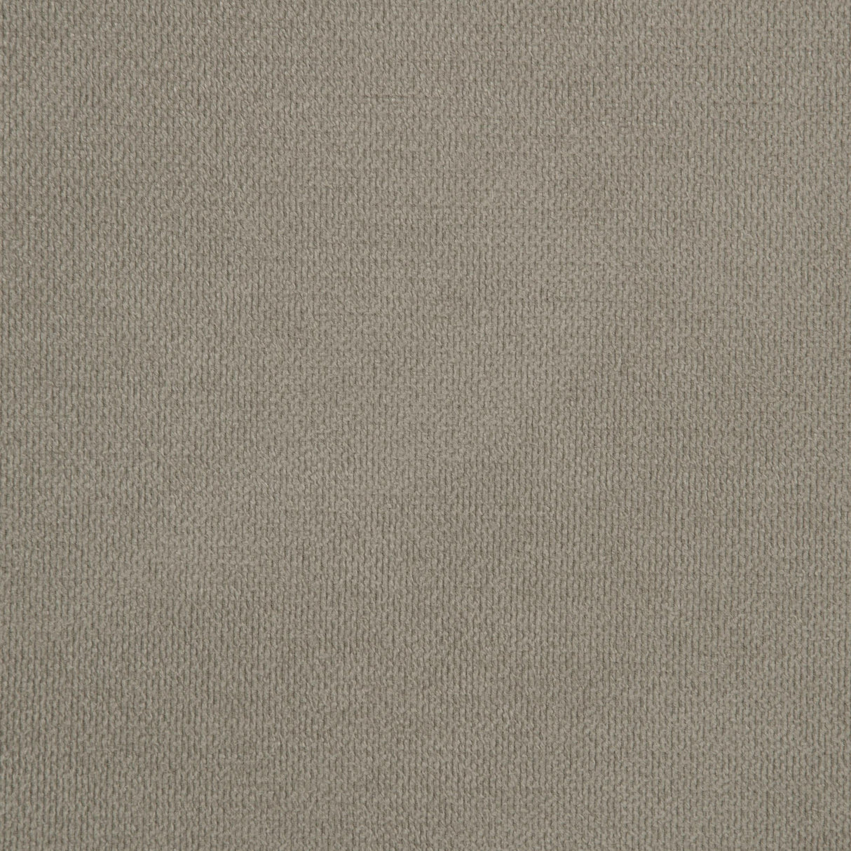 Maderia Walnut 57-inch Upholstered Eastern King Panel Bed by Coaster at Eve Furniture