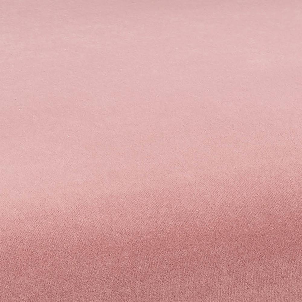 Kim Velvet Dining Chair by TOV Furniture at Eve Furniture