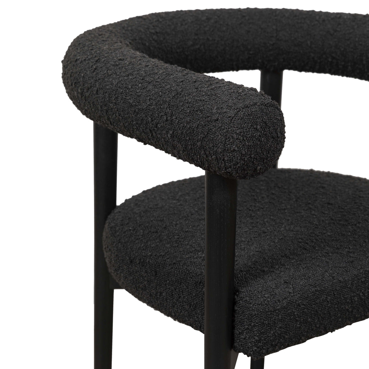 Spara Performance Boucle Dining Chair by TOV Furniture at Eve Furniture