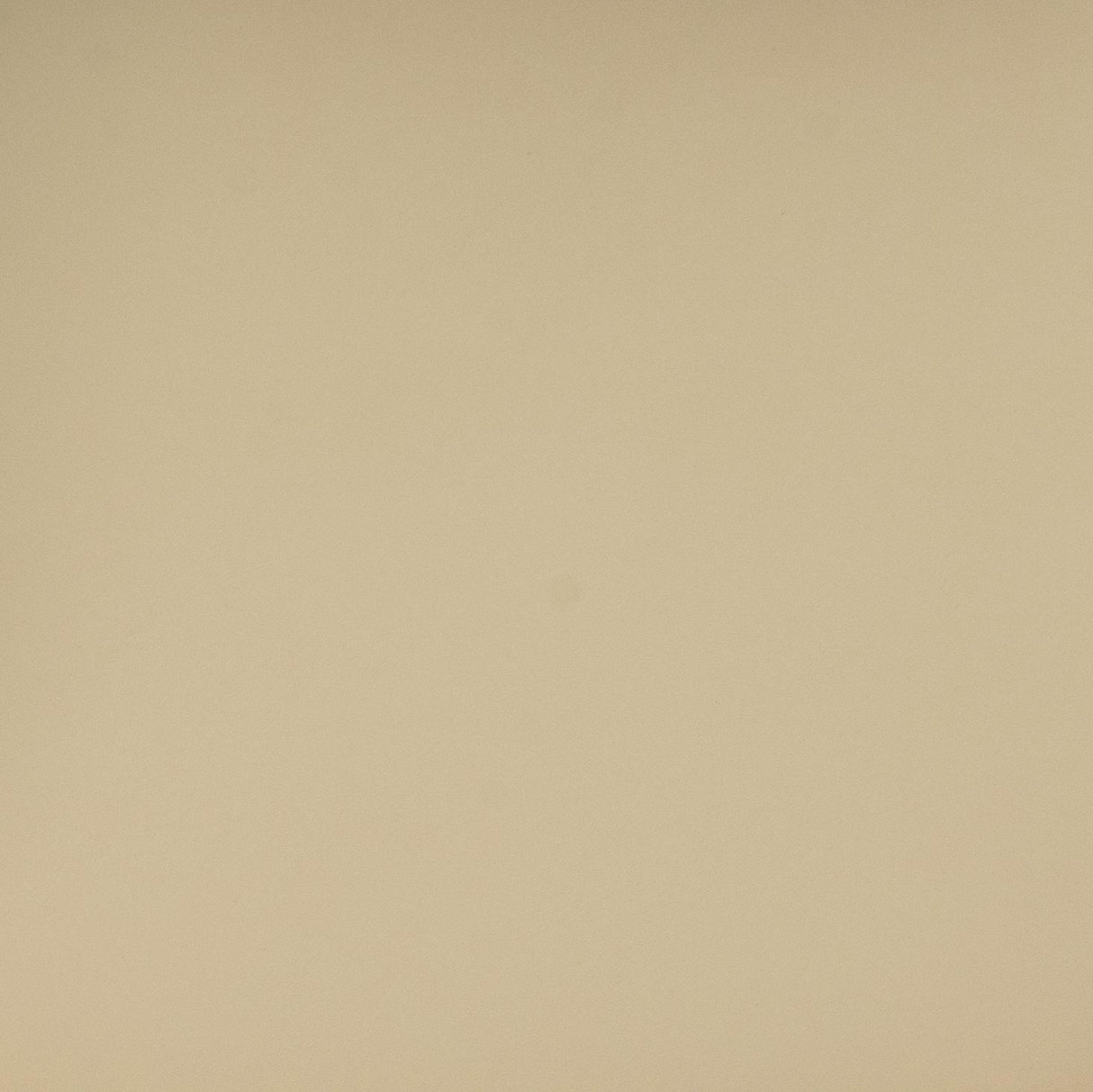 Betsy Taupe Vegan Leather Dining Chair by TOV Furniture at Eve Furniture