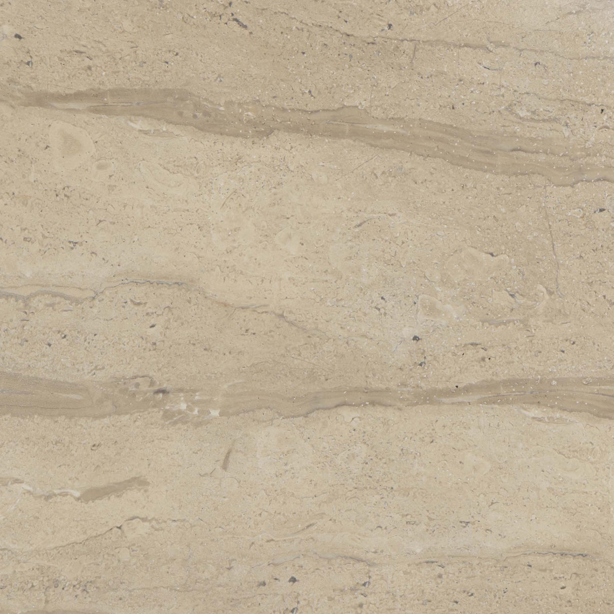 Hyre Faux Travertine Indoor/Outdoor Concrete Side Table by TOV Furniture at Eve Furniture