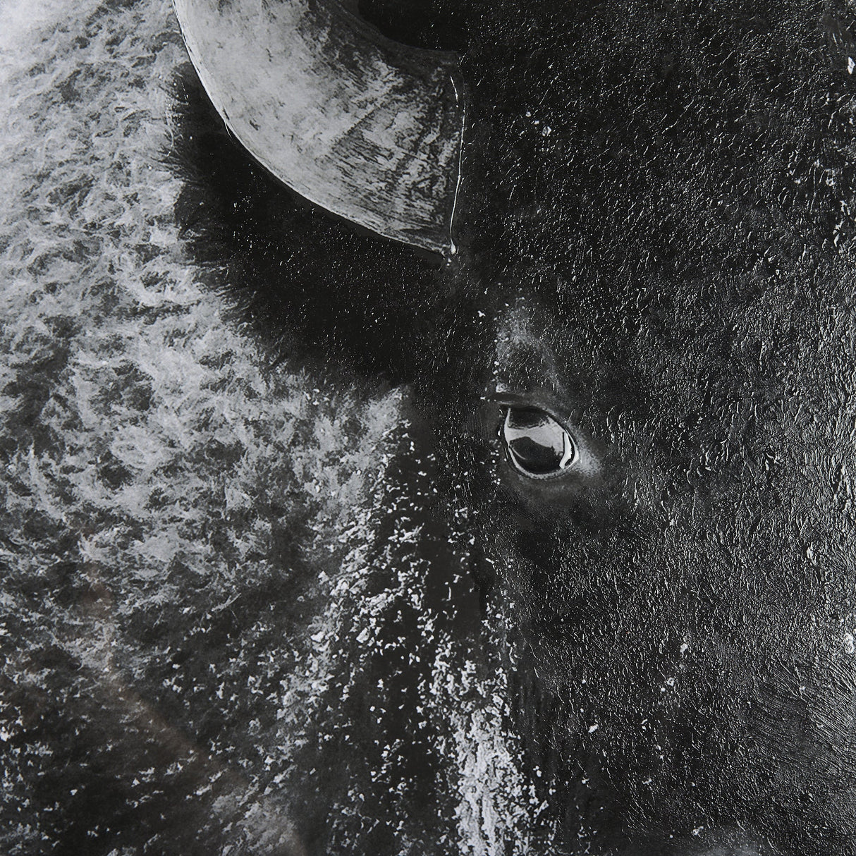 A Struggle by Mercana Studio a Hand Embellished Textured Framed Photo Art Print Matted under Glass by Mercana at Eve Furniture