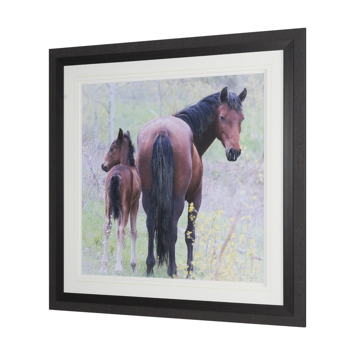 A Watchful Bond by Chad Mackay Hand Embelished Framed Art Print Matted under Glass by Mercana at Eve Furniture