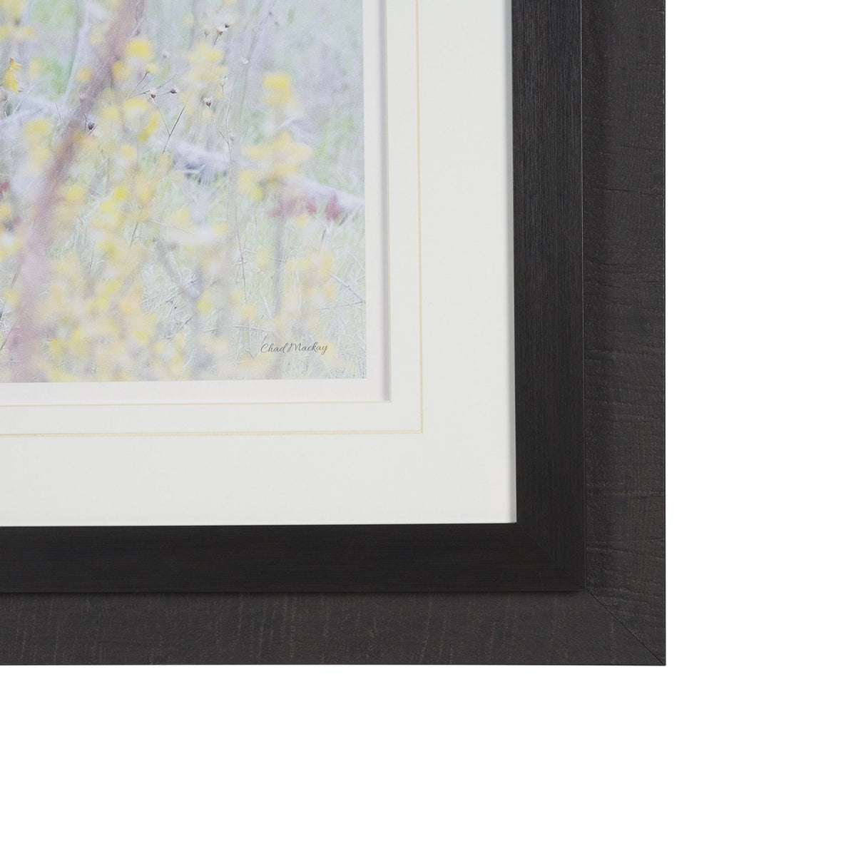 A Watchful Bond by Chad Mackay Hand Embelished Framed Art Print Matted under Glass by Mercana at Eve Furniture