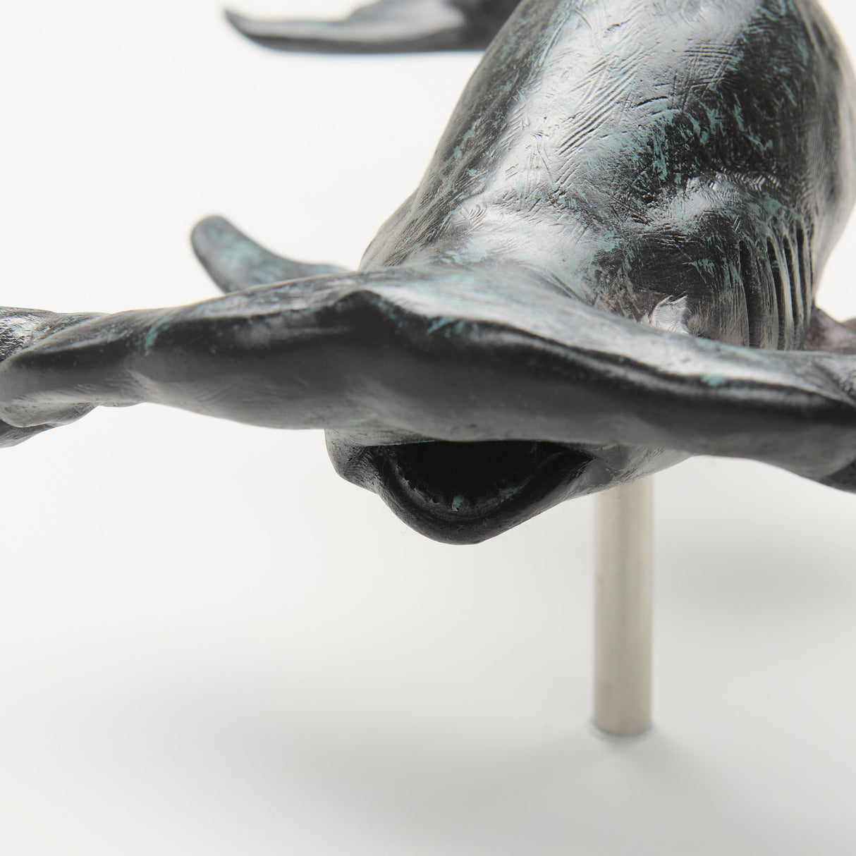 Acus Small Hammerhead Shark Resin Wall Decor by Mercana at Eve Furniture