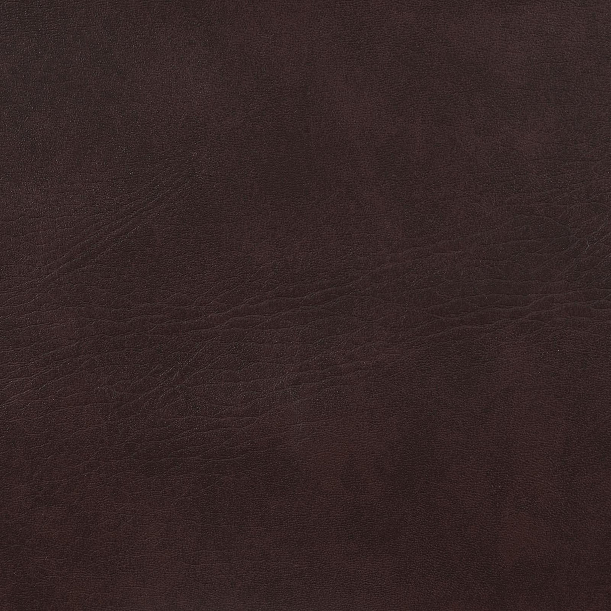 Adelaide Brown/Chrome Upholstered Bar Stool with Open Back by Coaster at Eve Furniture