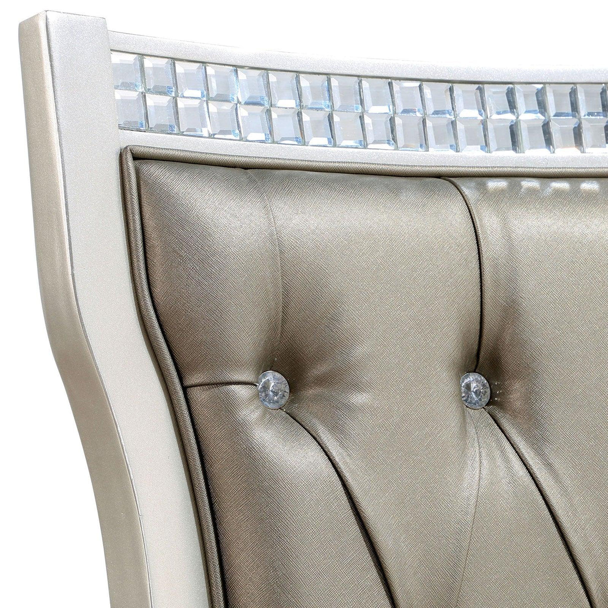 Adelina Champagne/Warm Gray Side Chair, Set of 2 by Furniture of America at Eve Furniture