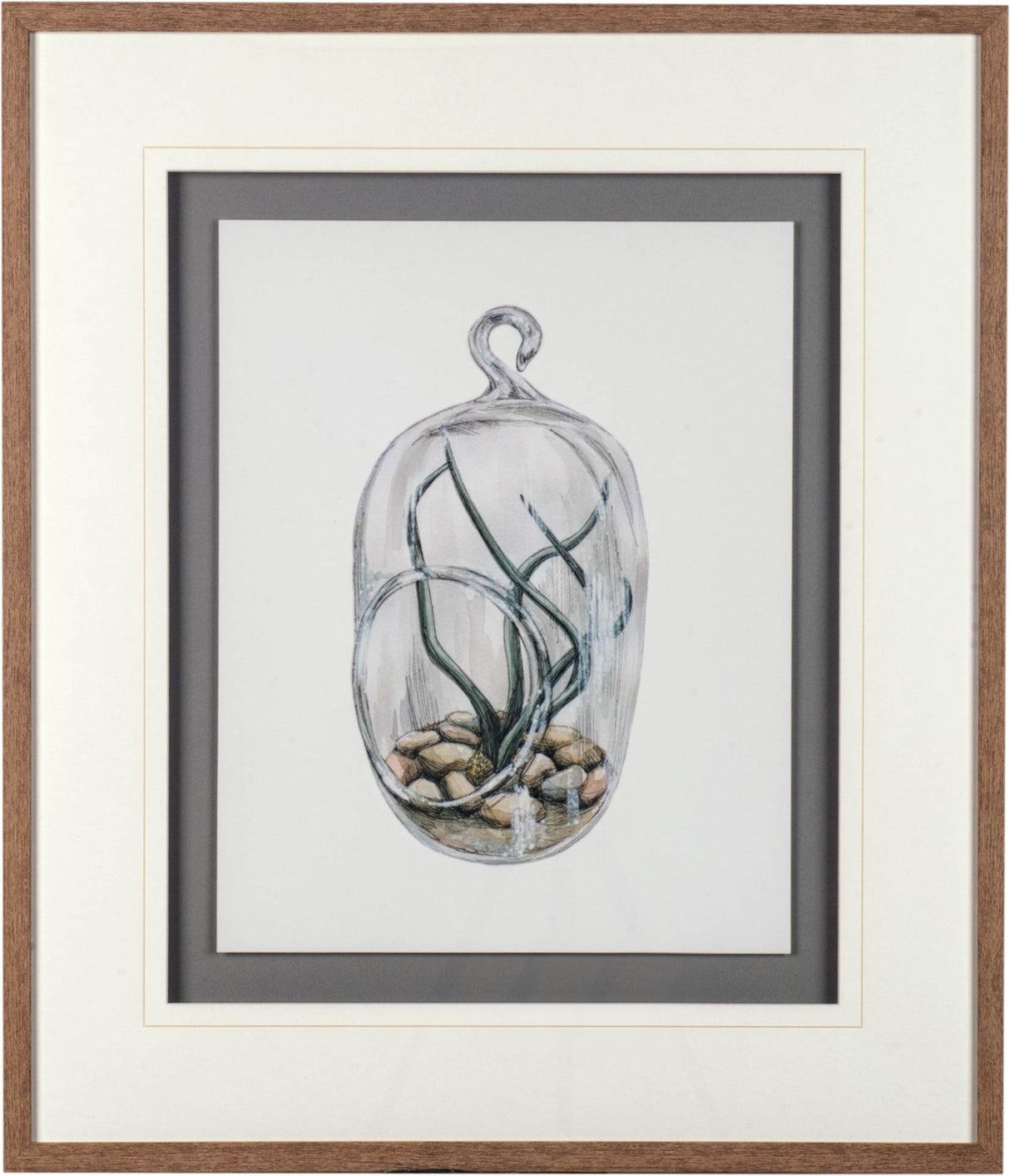 Air Plant 1 by Harvey, Brenna a Framed Art Print Matted under Glass by Mercana at Eve Furniture