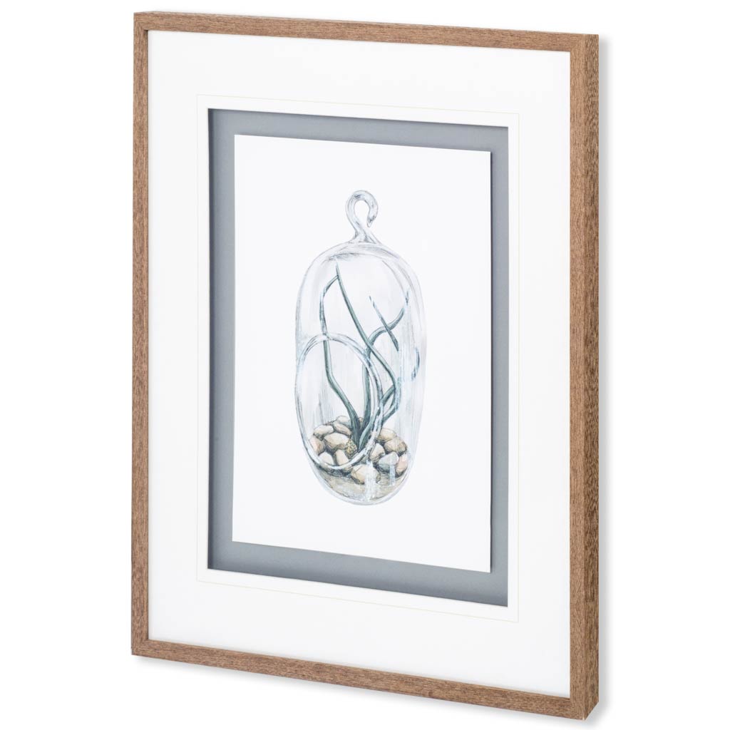 Air Plant 1 by Harvey, Brenna a Framed Art Print Matted under Glass by Mercana at Eve Furniture