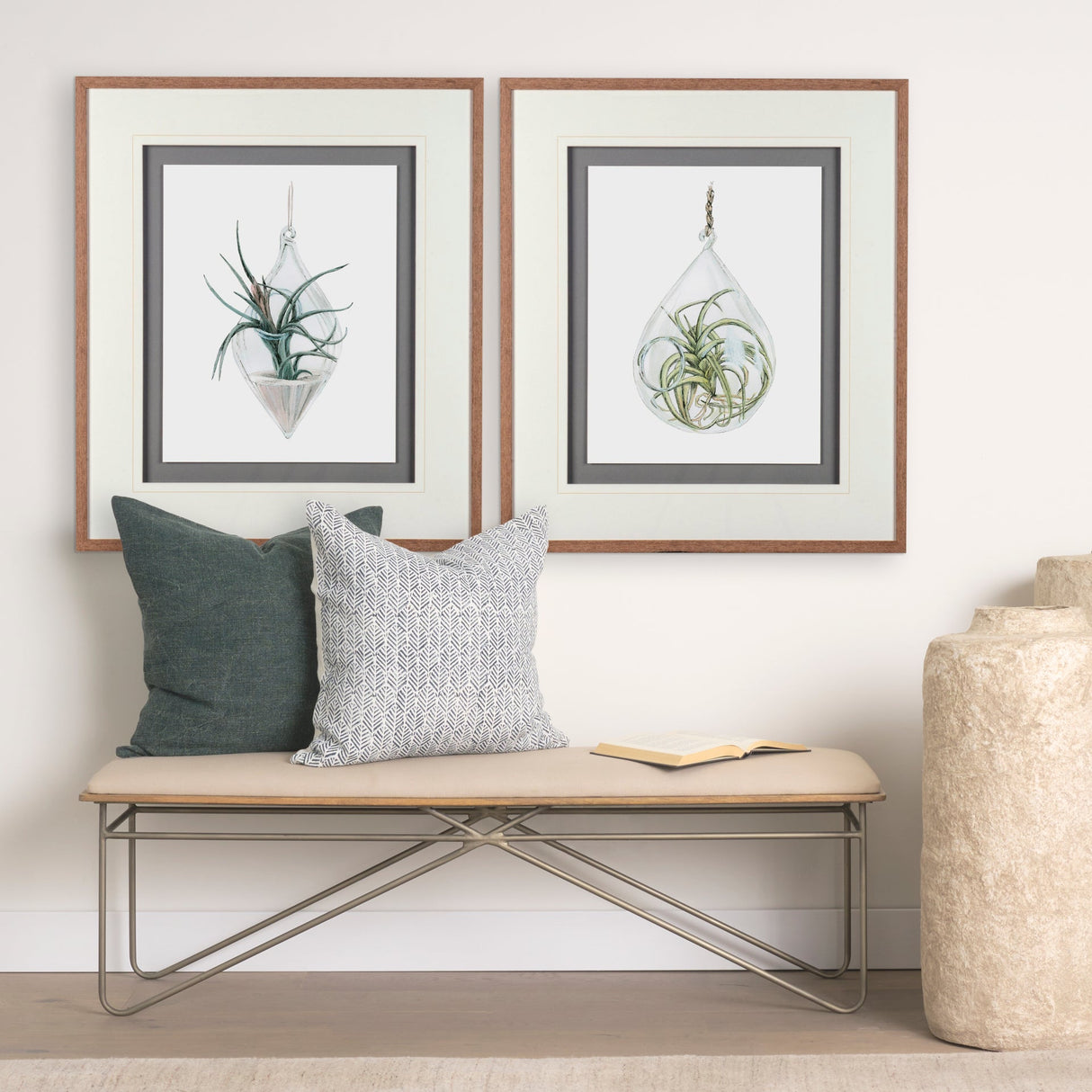 Air Plant 2 by Harvey, Brenna a Framed Art Print Matted under Glass by Mercana at Eve Furniture
