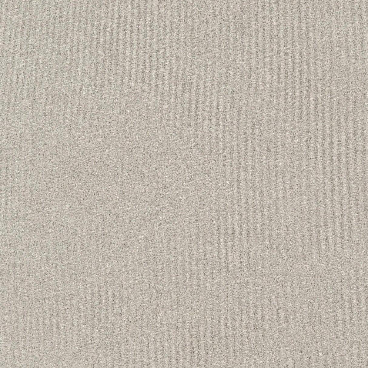 Alana Upholstered Tufted Arm Chair with Nailhead Trim by Coaster at Eve Furniture