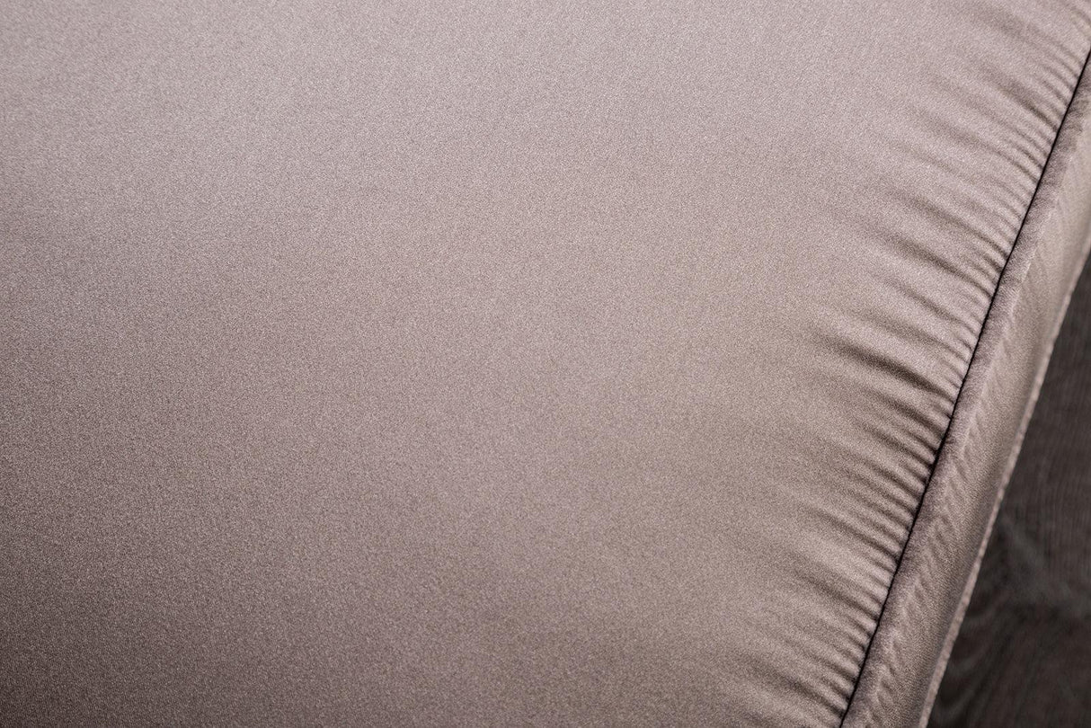 Albacete Champagne/Purple Loveseat by Furniture of America at Eve Furniture