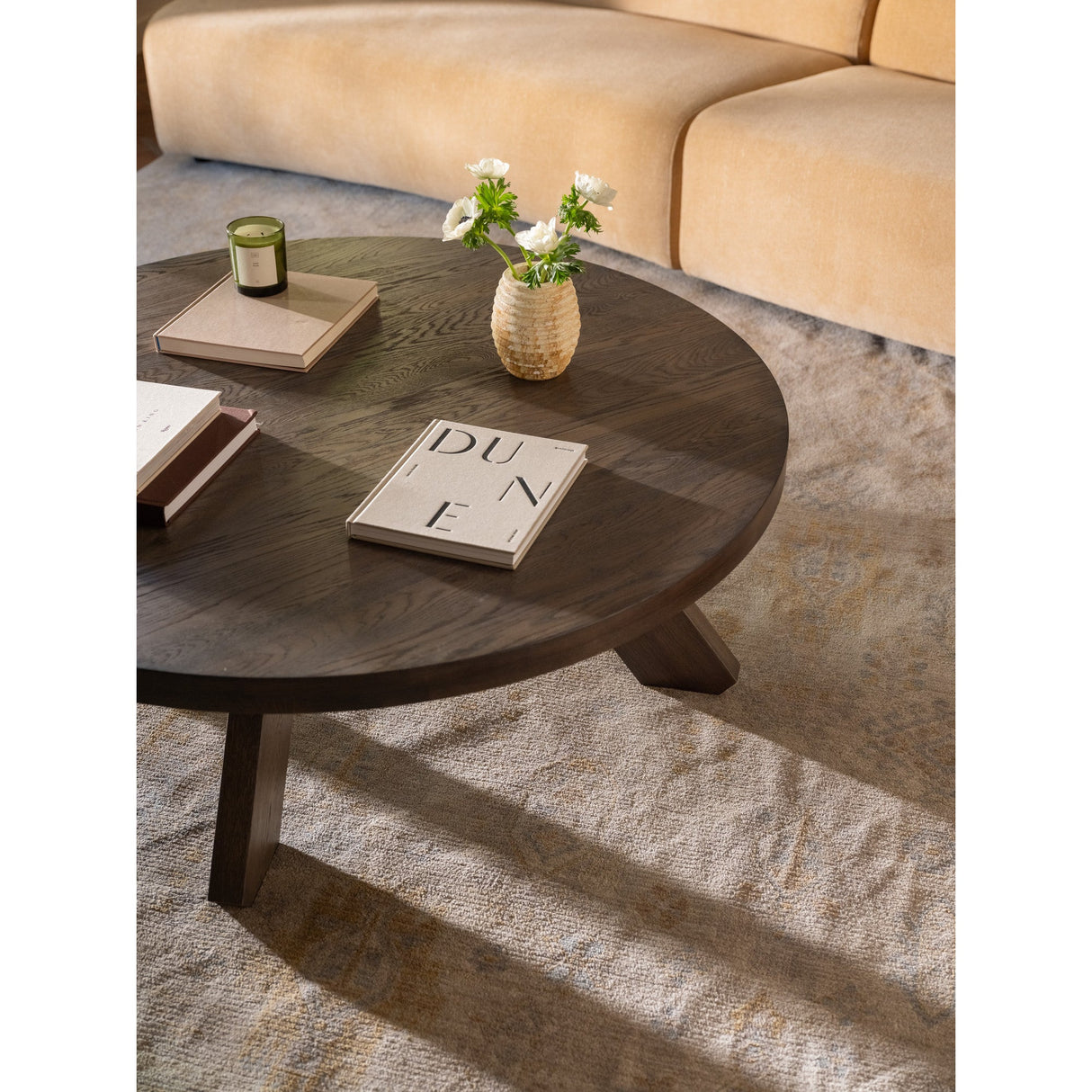 Alden Cool Brown Coffee Table by Moe's Home at Eve Furniture