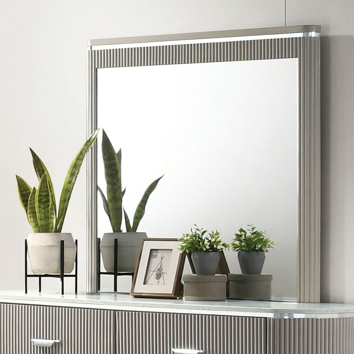 Aldridge Light Gray Mirror by Furniture of America at Eve Furniture