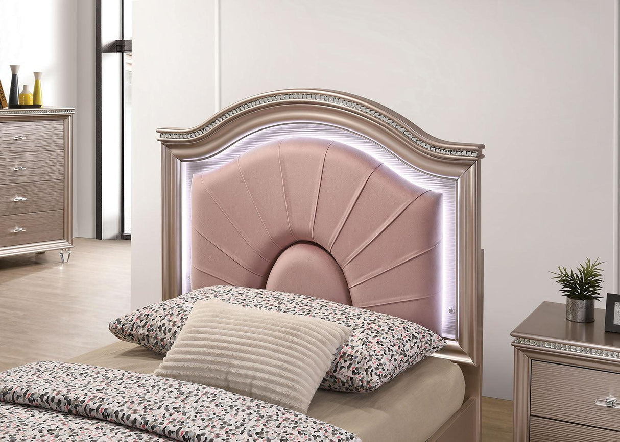 Allie Rose Gold Twin Bed by Furniture of America at Eve Furniture
