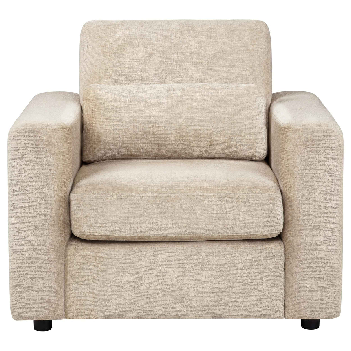 Amador Camel Chenille Upholstered Track Arm Accent Chair by Coaster at Eve Furniture