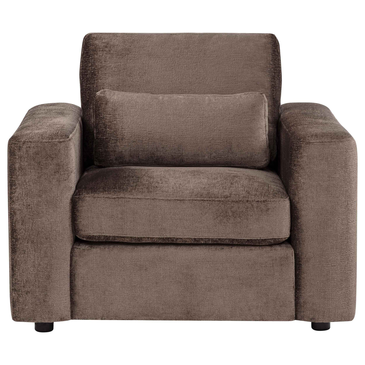 Amador Chocolate Chenille Upholstered Track Arm Accent Chair by Coaster at Eve Furniture