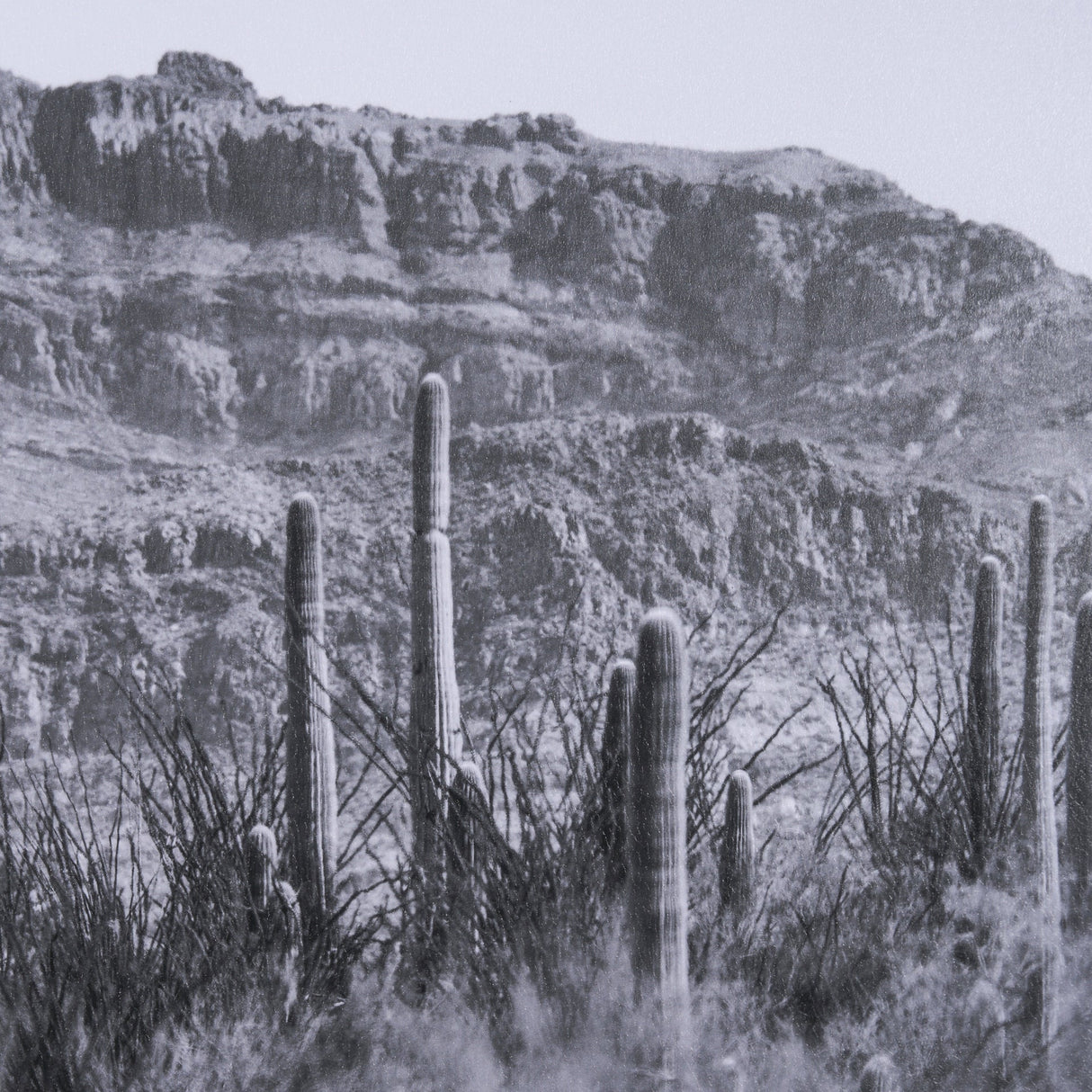 American Borderlands by Nathan Larson Hand Embelished Textured Framed Photo Art Print Matted under G by Mercana at Eve Furniture