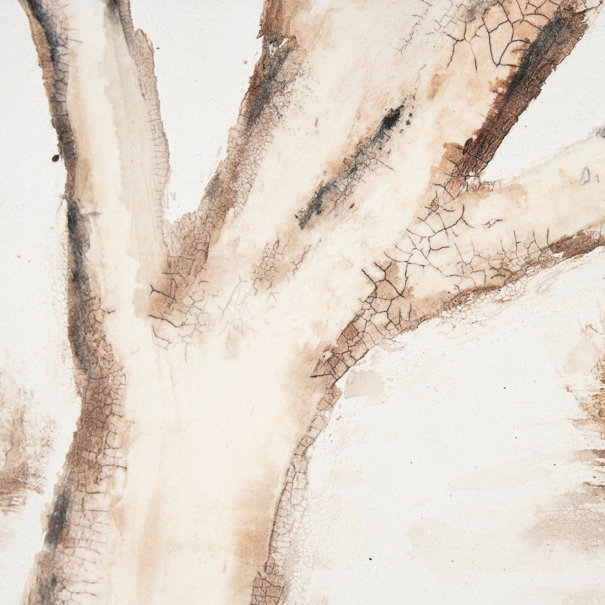 Ancient Arbutus by Studio M a handmade Original Framed Artwork under Glass by Mercana at Eve Furniture