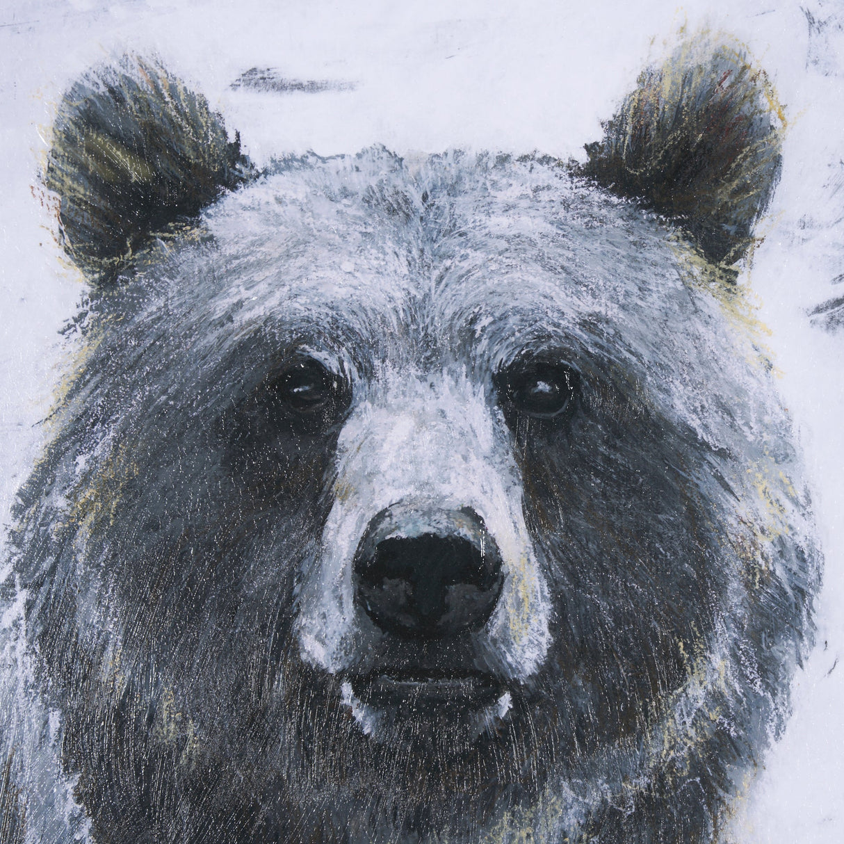 Animal Portrait III (Bear) by Mercana Studio Hand Embellished Framed Art Print Matted under Glass by Mercana at Eve Furniture
