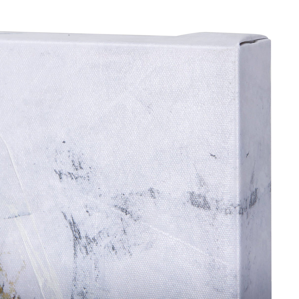 Animal Portrait III by Mercana Studio a Hand Embellished Textured Canvas by Mercana at Eve Furniture